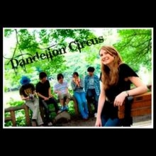 Dandelion Circus