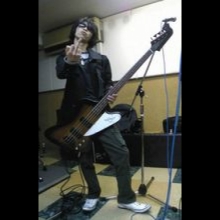 The Greatful Music Company