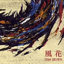 DNA SEVEN