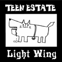 TEEN ESTATE