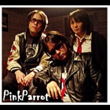 Pink Parrot