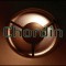 Chordin