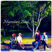 Migratory Bird