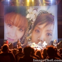 ＡＳＩＡＮ・ＰＡＮＤＡＭＯＮＫＥＹＳ・ＳＰＥＣＩＡＬ